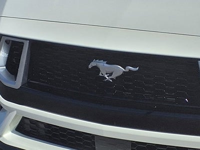 2025 Ford Mustang GT Premium Fastback