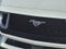 2025 Ford Mustang GT Premium Fastback
